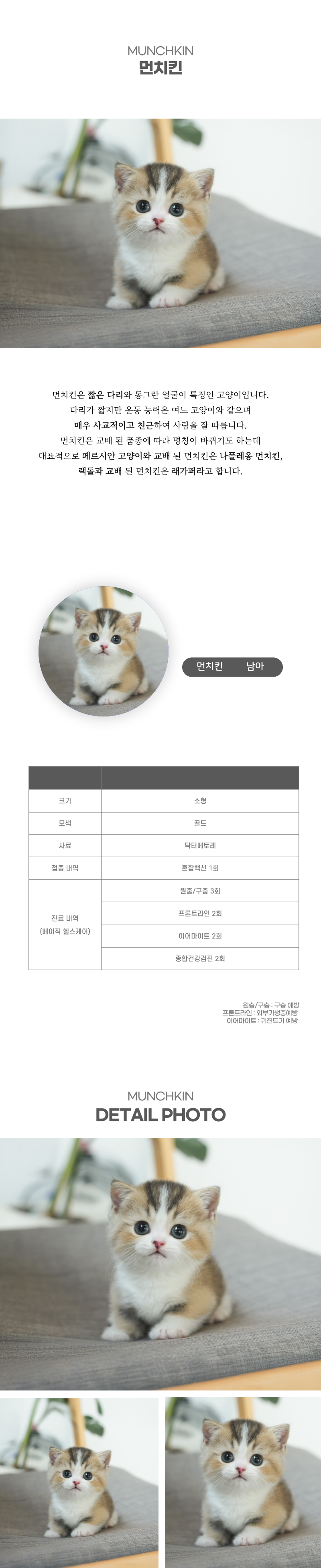 먼치킨_상세이미지_2
